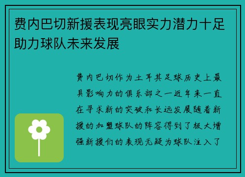 费内巴切新援表现亮眼实力潜力十足助力球队未来发展